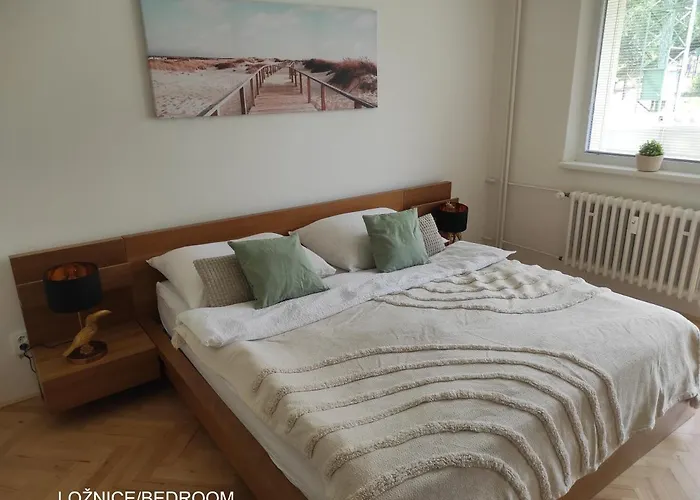 Apartment Dobre Misto 77 Loučná nad Desnou